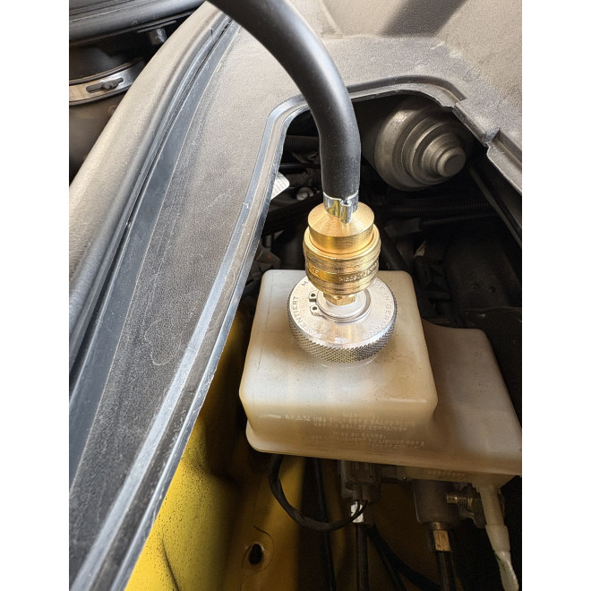 Nr. 42 montiert an Dodge Challenger