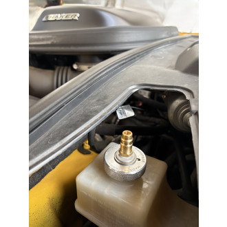Nr. 42 montiert an Dodge Challenger